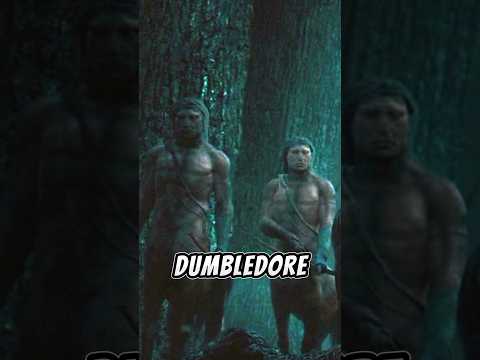 HARRY POTTER Book Fact That Were NEVER MENTIONED IN BOOKS😱 #harrypotter #subscribe #shorts