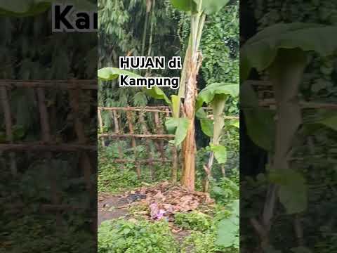 Syukuri rezeki berupa hujan