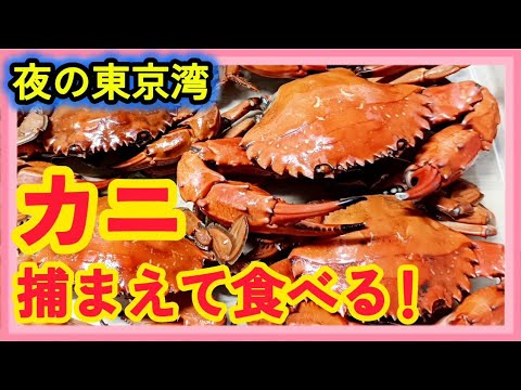 カニ🦀だらけの夜の海!捕まえてきて料理して食べた!😋