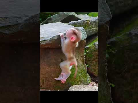 Great Aunt ! #animal #videos #cute #foryou #wildlife #nature #love #like #live #life #lovesong