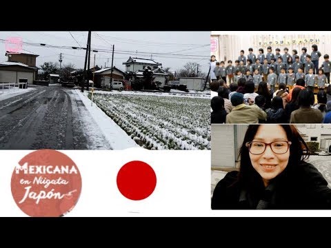 los japoneses creen que..+ presentacion de Mauro+mi vida en Niigata Japon