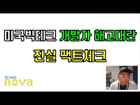 미국 빅테크 개발자 해고대란의 진실