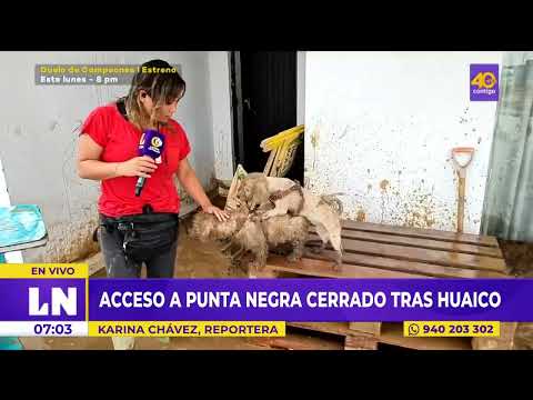 Mascotas están en peligro tras desborde de huaico en Punta Negra