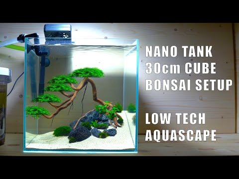 Low-tech Nano Tank Bonsai Aquascape 30cm Cube Tank Tutorial