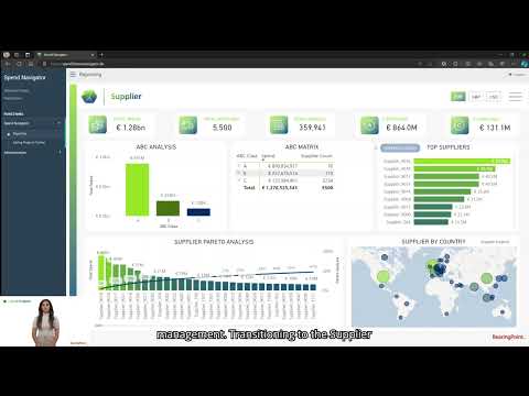 BearingPoint Spend Navigator Demo