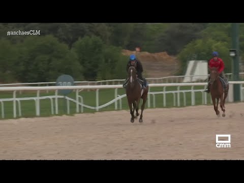 El Hipódromo de la Zarzuela nos abre sus puertas | Ancha es Castilla-La Mancha