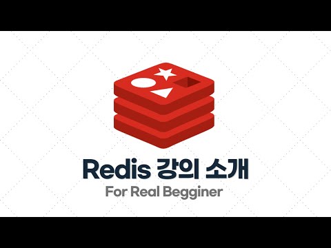 비전공자도 이해할 수 있는 Redis 강의를 만들어봤습니다!