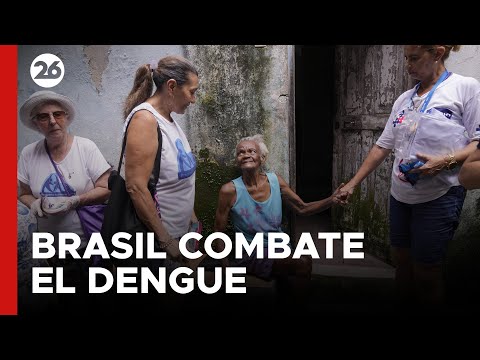 Brasil combate el dengue en todos sus frentes | #26Global