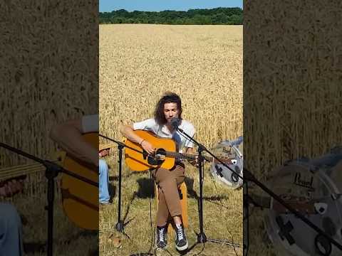 INDIE BAND playing music in a field #coversong #country #indieband #folksong  #acoustic #livemusic
