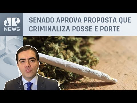 Vilela analisa PEC das Drogas: “Descriminalização seria retrocesso no combate ao crime organizado”