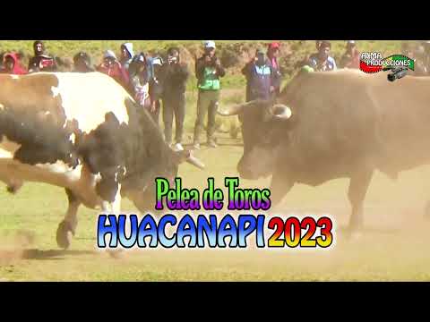 Pelea de Toros HUACANAPI 2023, Presentación. (Video Oficial) de ALPRO BO.