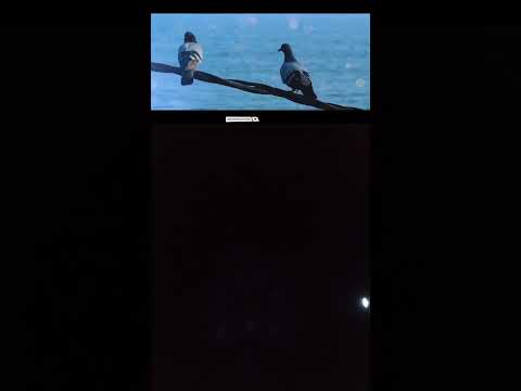 ଜୟ ଜଗନ୍ନାଥ 🙏🙏#youtubeshorts #viral #trendingshorts