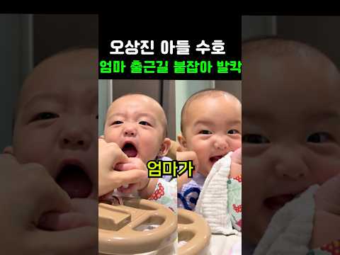 오상진 <strong>아들</strong> 수호,  엄마 출근길 붙잡아
