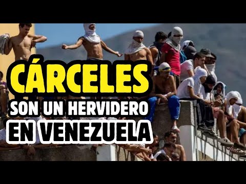 Presos se amotinan en las cárceles de Venezuela | Lo Que Está Pasando