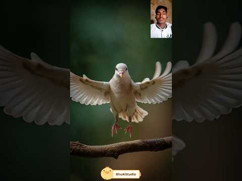 “जब डर खत्म हुआ, तभी उड़ान शुरू हुई | Motivational Story of Pigeon 🕊️ |Moral Story in Hindi #aivideo