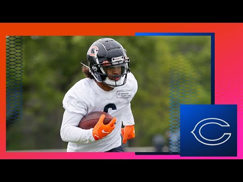 Bears vs. Seahawks Preview | Chicago Bears video clip