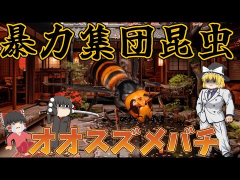 【ゆっくり解説】暴力集団昆虫！オオスズメバチ