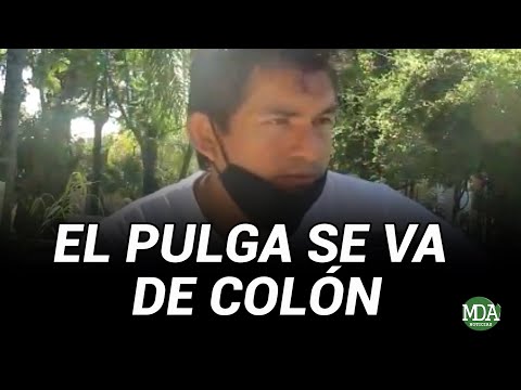 BOMBA: El Pulga Rodríguez se va de Colón y ¿vuelve a Atlético Tucumán