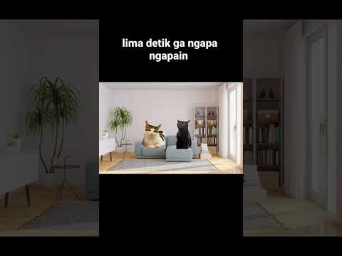 udah gitu aja🗿😹#cat #comedy #lucu #humor