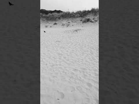#shortvideo#ireland#empty#beach
