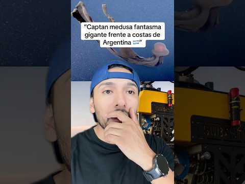 Captan medusa fantasma gigante frente a costas de Argentina #sabiasque #curiosidades #shorts