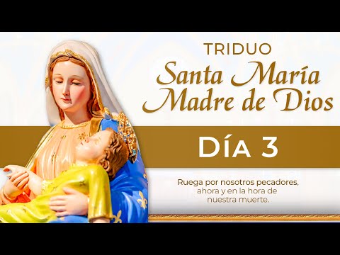 TRIDUO a Santa María Madre de Dios  Día 3  | Padre Ricardo del Campo