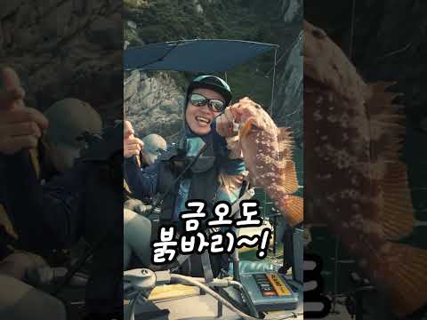 붉바리에 광어까지 # #<strong>fishing</strong> #븕바리