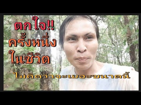 ตกใจ‼️ครั้งหนึ่งในชีวิต...ไม่ค