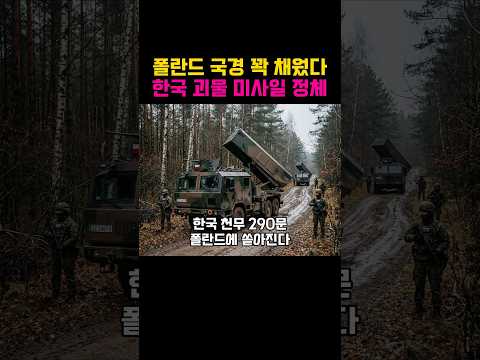 <strong>폴란드</strong> 한국 천무로 새로운 전략 구상