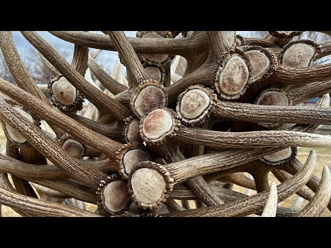 Brandon Pitcher Elk Shed Bangers ( NEW )