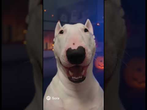 goofy video #memes #subscribe #100 #ai #funny #fyo #treding #viral #sora