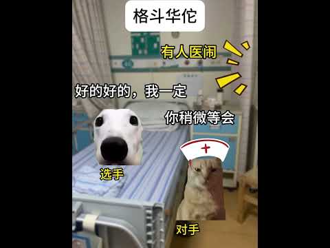 猫の動画サムネイル - 全麻还是拳麻#有趣 #猫meme #猫meme剧场 #内容过于真实  #故事 #貓 #猫猫meme小剧场 #喵不可言