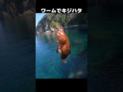 thumbnail_Ij-qYTvBshU