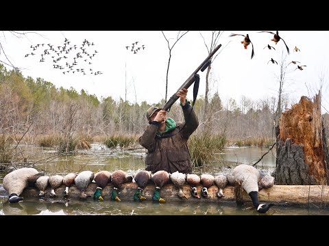 THREE HOURS Of East Coast Duck Hunting (Never Before Seen Hunts)