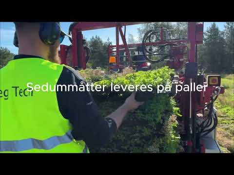 VegTech Danmark - Fra produktion til færdigt sedumtag