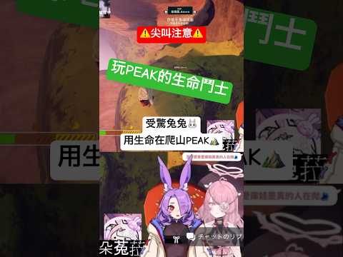 我玩的遊戲好像都比較好玩？用生命爬山的生命鬥士愛庫娃⛰️ #peak #vtuber #game #精華 #切り抜き #gameplay #scream #steam #steamgame thumbnail