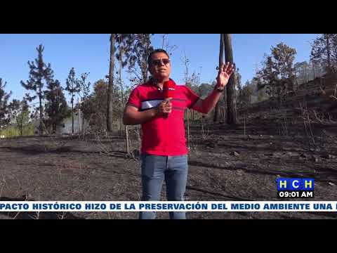 Reactivación de incendio forestal en el sector de El Tigre consume decenas de hectáreas de bosque
