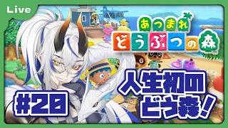 [あつまれどうぶつの森] 人生初のどうぶつの森！？色々教えてもらえると助かります！釣り、虫取りコンプ目指します！！ vol20 [シャヘル]