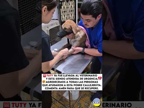 Tuty está a salva❤️👏