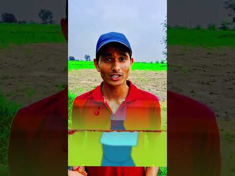 क्रिकेट को हिंदी में क्या कहते हैं🤯👀#cricket