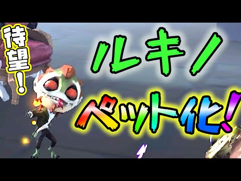 【第五人格】待望！？サバイバーにペット化されたルキノが可愛すぎる！【IdentityⅤ】【アイデンティティファイブ】【ルキノ】