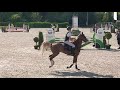 Show jumping pony Talentvolle D pony