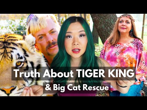 THE PROBLEM WITH TIGER KING...