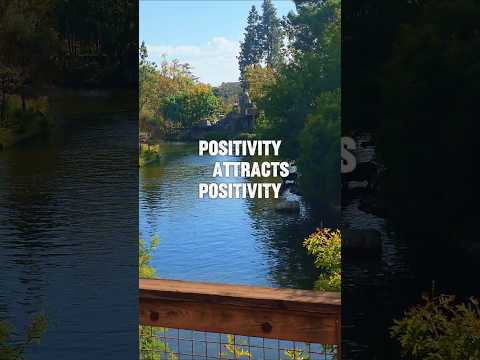 Good Vibes Only Daily Positivity