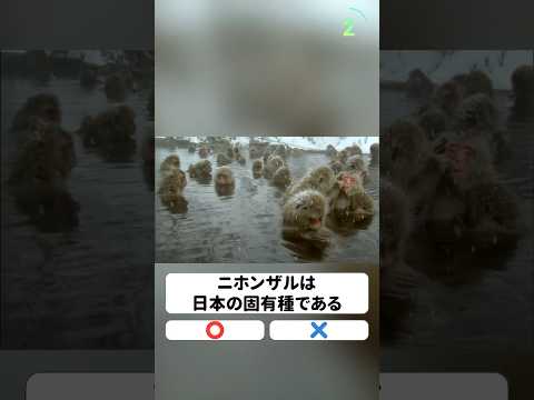 ニホンザルは日本の固有種である。〇か×か。
