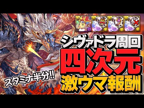 四次元をシヴァドラで高速周回！報酬激ウマ！スタミナ半分期間を逃すな！【パズドラ】