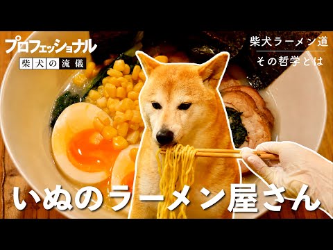 【プロフェッショナル柴犬の流儀】いぬのラーメン屋さん【鶏足（もみじ）ラーメン】