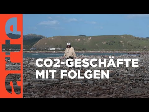 Neuseeland: Carbon Farms mit Nebenwirkungen | ARTE Reportage