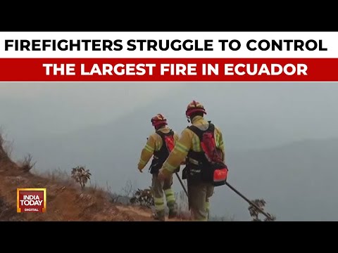 Firefighters Struggle To Control The Largest Forest Fire That Has Ravaged Ecuador In Recent Years