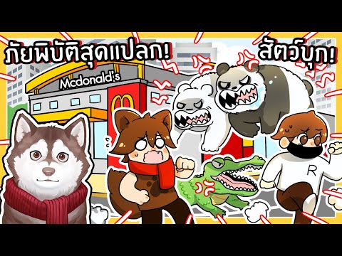 หมาสติแตกเอาชีวิตรอดภัยพิบัติส